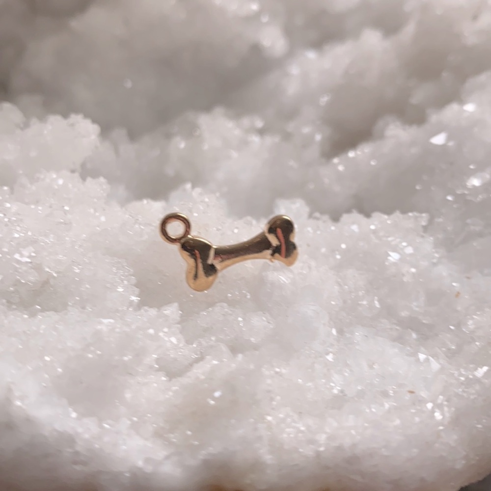 3/$30 dainty dog bone gold plated charm